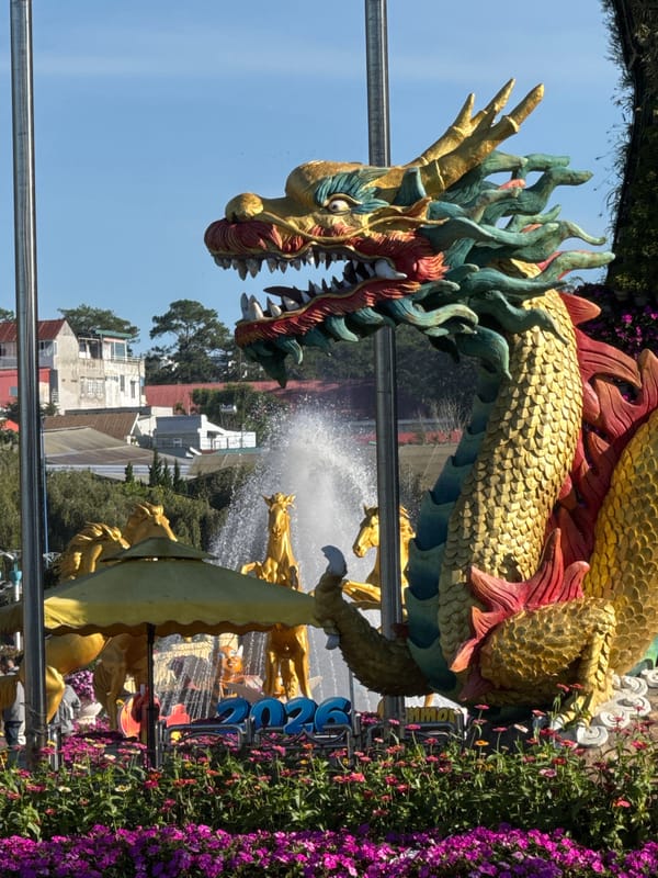 Đà Lạt's Xuân Hương Lake buzzes with festive decorations and street life