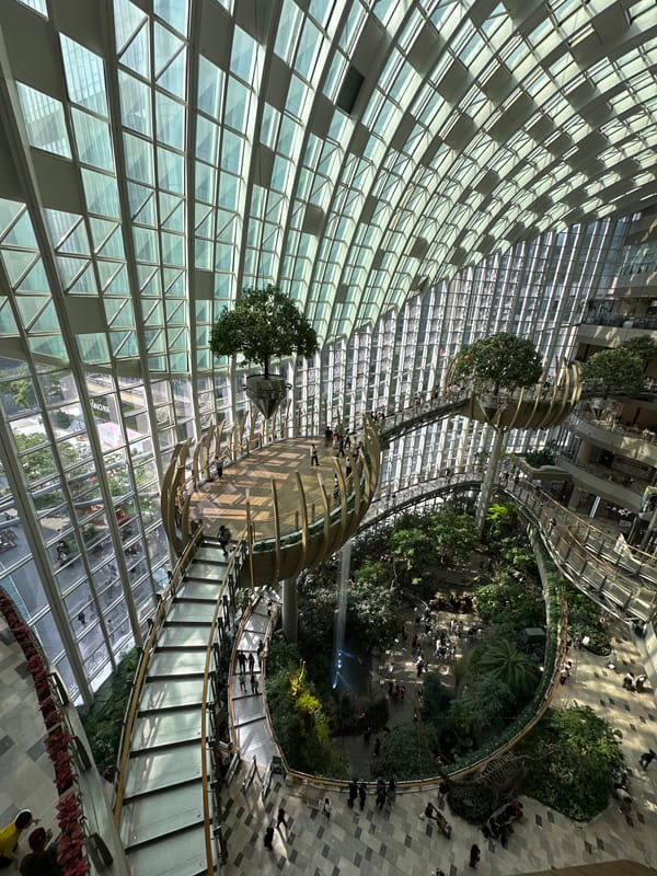 Woman spotted in Chongqing mall with decorative ceiling features