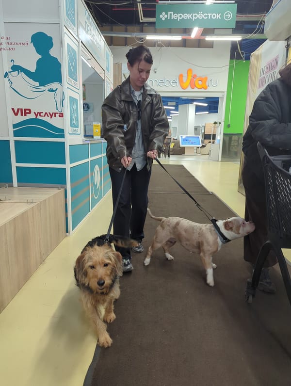 Family with dogs enjoys shopping and fast food outing near Moscow