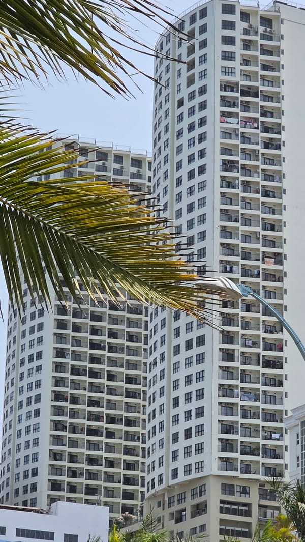 Coffee cups with flower photographed on Nha Trang beach