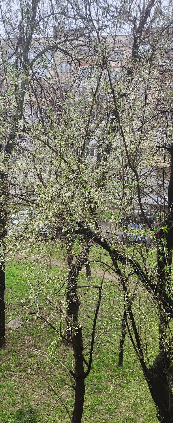 Spring morning scenes captured in Ruse, Bulgaria