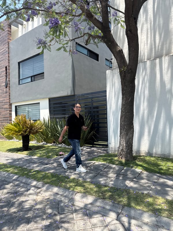 Man with phone, leashed dog observed on Puebla sidewalk