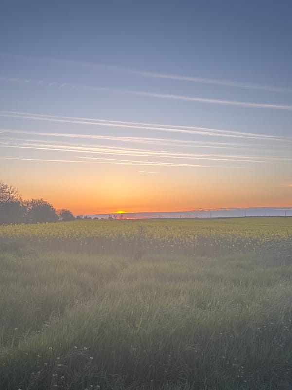 Sunset observed in Kamenar, Bulgaria with colorful sky transition