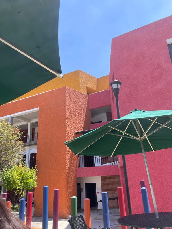 Afternoon scenes documented across San Andrés Cholula public spaces