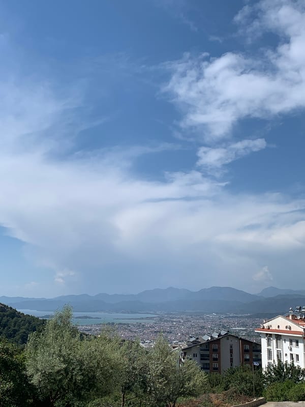 Coastal views and grazing goats observed in Fethiye Turkey