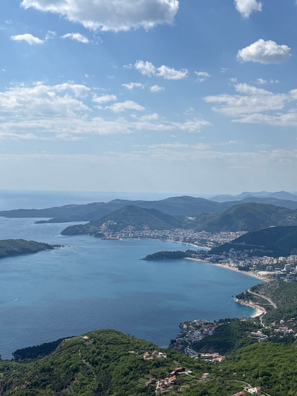 Coastal mountains with vegetation and residential buildings observed
