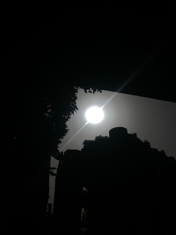 Bright sun creates dramatic lighting in Nigeria photographs