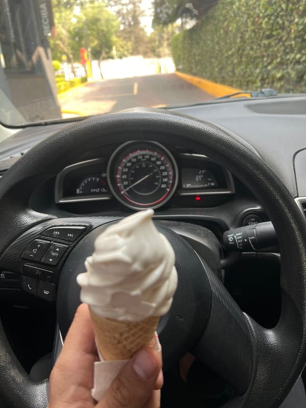 Person enjoys ice cream in car after McDonald's meal