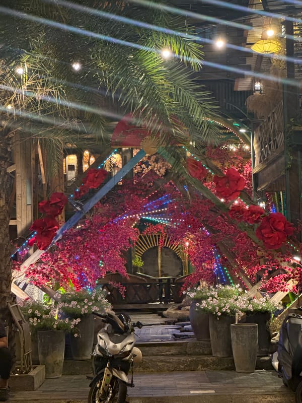 Women Line Dance on Urban Walkway at Night