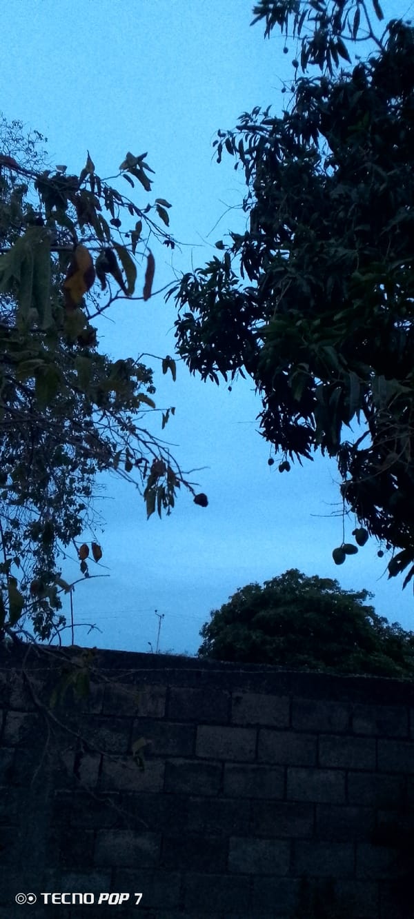 Witness documents overcast morning in Altagracia residential area