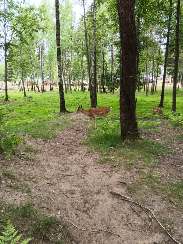 Visitors tour wildlife sanctuary in rural Belarus