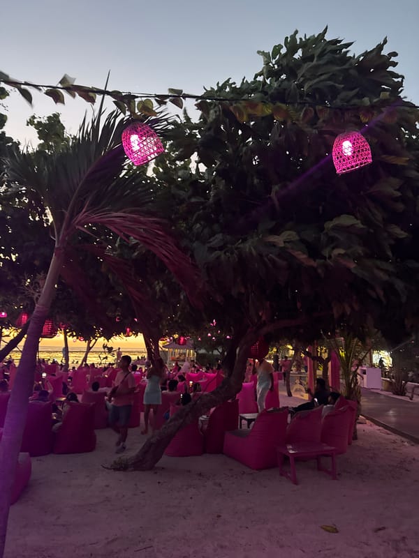 Pinkcoco beach lounge at dusk, pink lights and full moon
