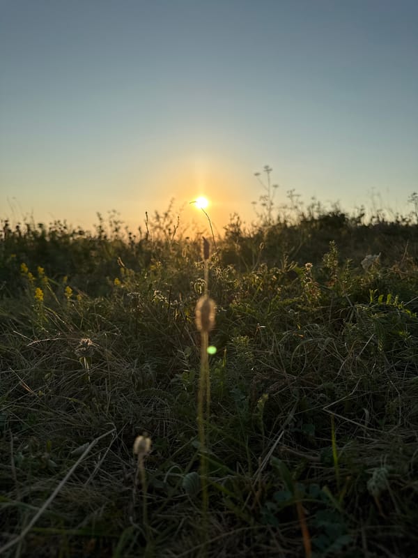 Sunset picnic in the grass with rolling hills views