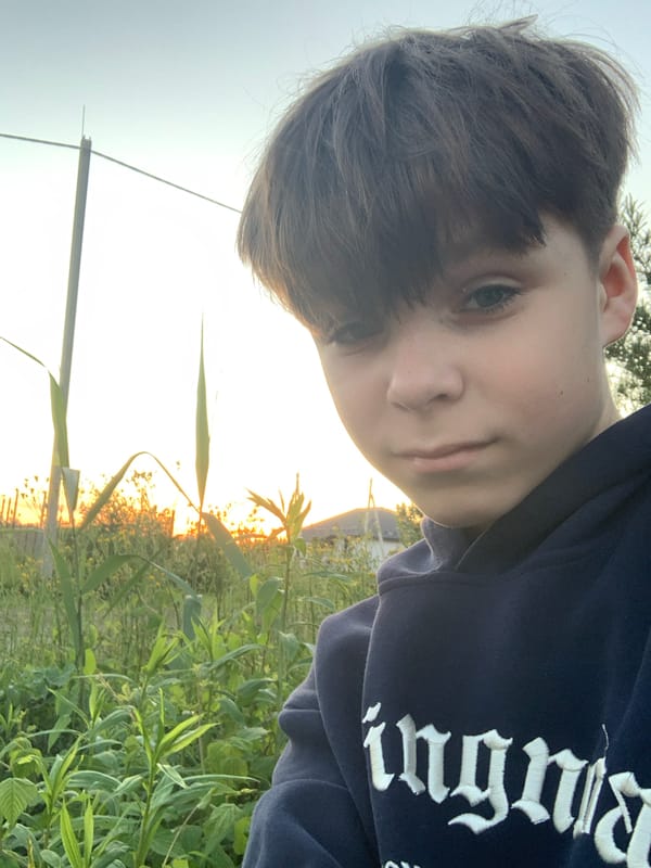 Sunset selfies and rural scenes captured in Gvardeysk, Russia