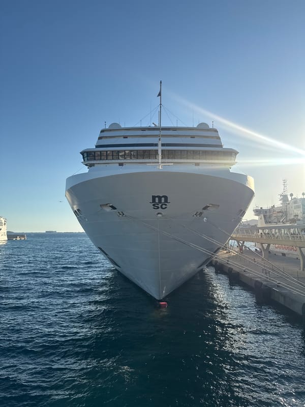 MSC Musica and Norwegian Dawn docked together in Ibiza port