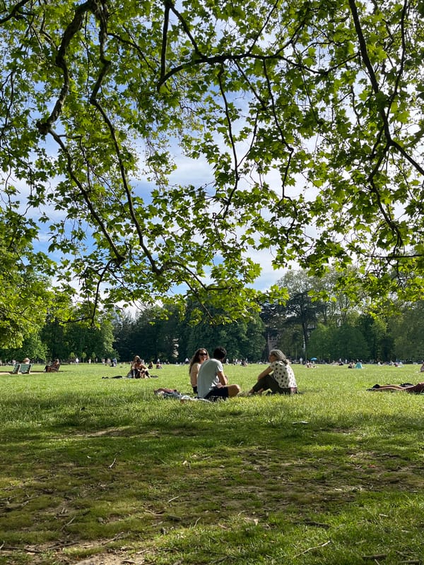 Sunny afternoon brings crowds to Lyon park for leisure activities