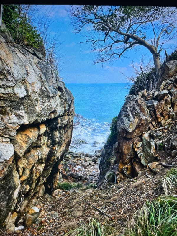 Hanging out on a rocky coast by the sea.