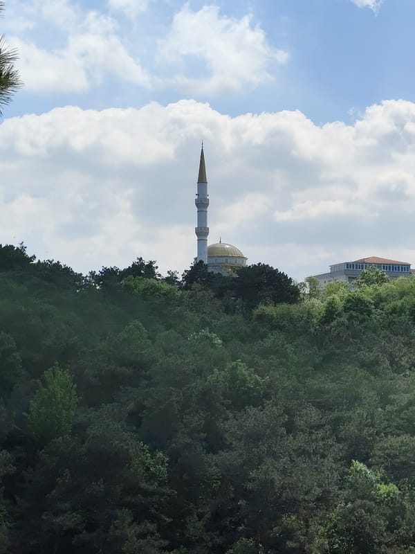 Visitors explore scenic forest walkways and overlooks in Sarıyer