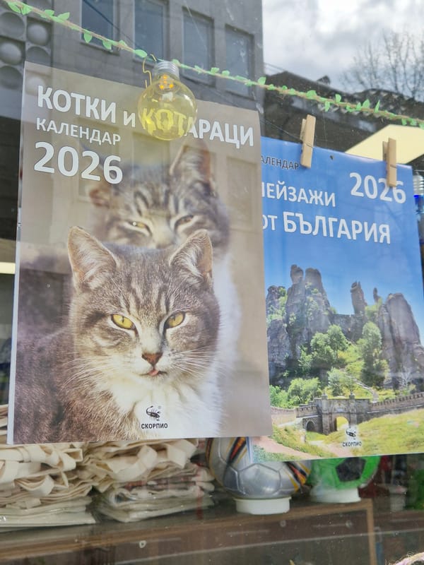 Spring afternoon scenes captured in Varna: cats, Easter tulips, weathered buildings