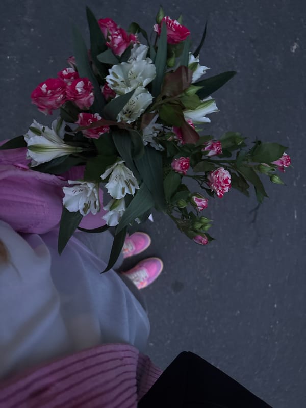 Evening moments captured across Minsk: flowers and sunset traffic