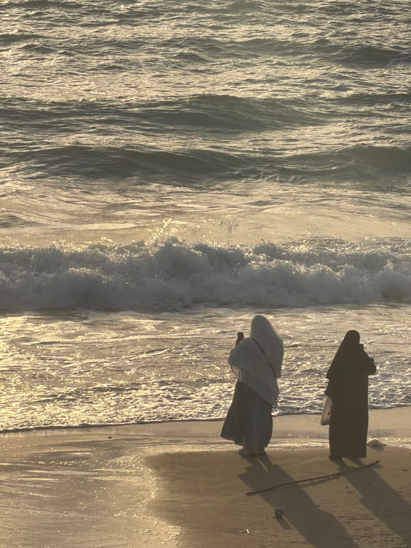 Sunset on the Tel Aviv waterfront — paddleboards, beach, golden light