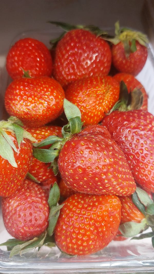 Fresh produce shopping documented in Novosibirsk market area