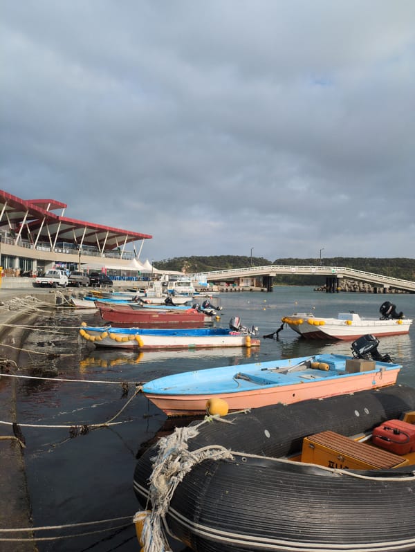 Marina scene documented in Ulsan, South Korea
