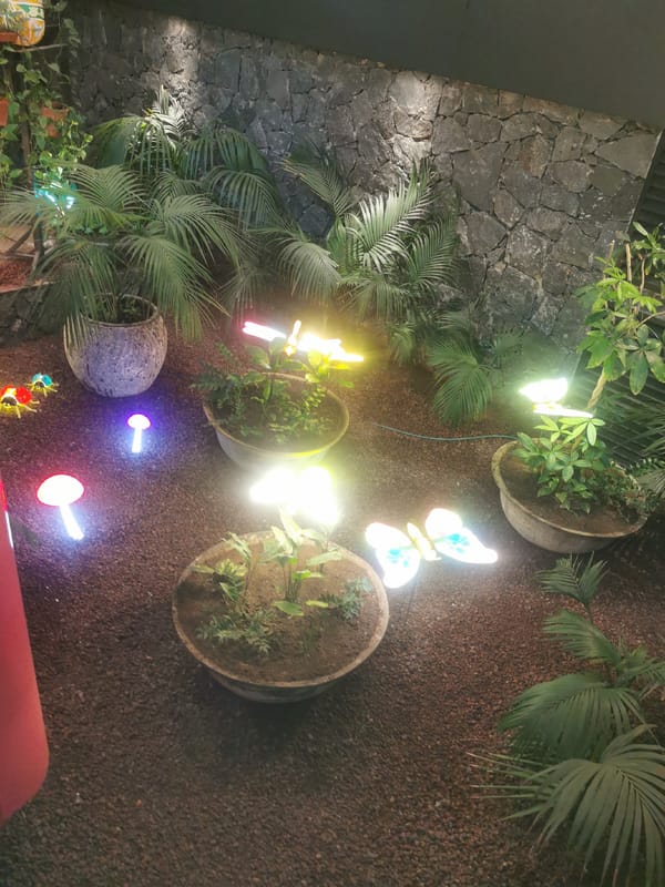 Indoor garden with decorative lights spotted in Adeje commercial space
