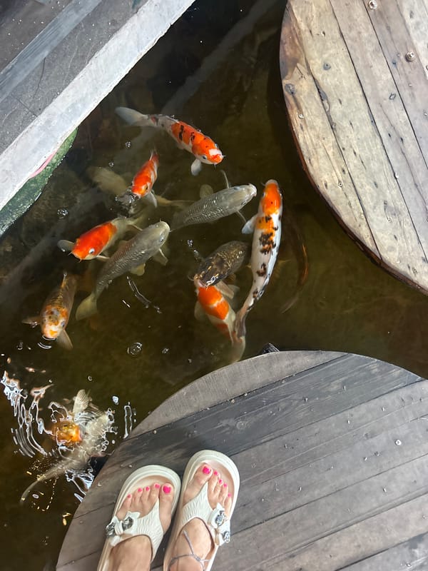 Early morning scenes captured around Bắc Nha Trang, Vietnam