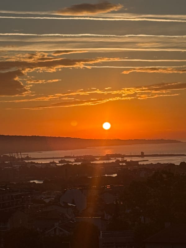 Sunset over coastal city from multiple viewpoints