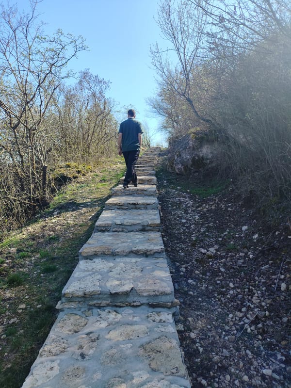 Person climbs stone steps in Stroiesti, Moldova