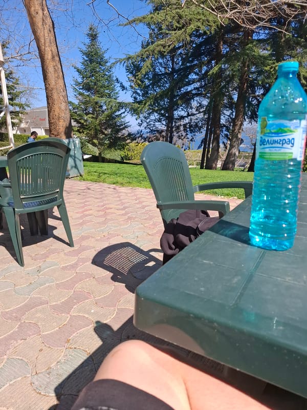 Mineral water bottle spotted on green table in Varna