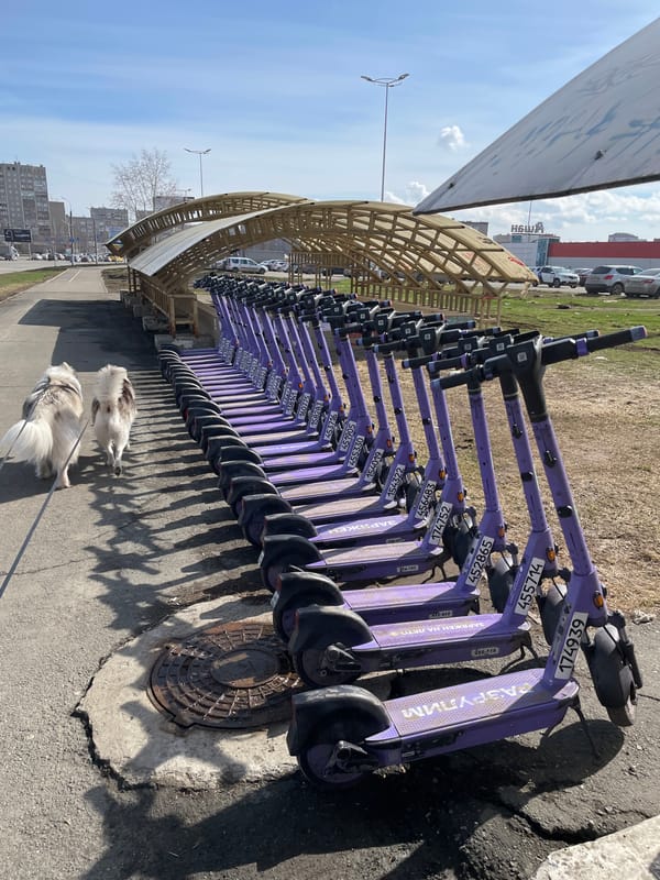Morning dog walk captured near electric scooter station in Izhevsk