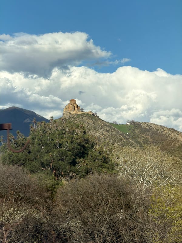 Group takes elevator selfies in Tbilisi