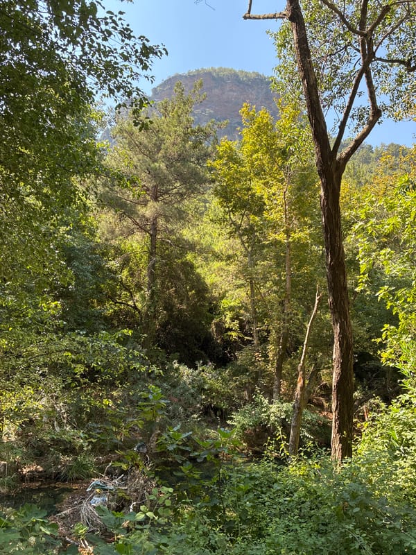 Alanya's forested river valley with thatched riverside eateries