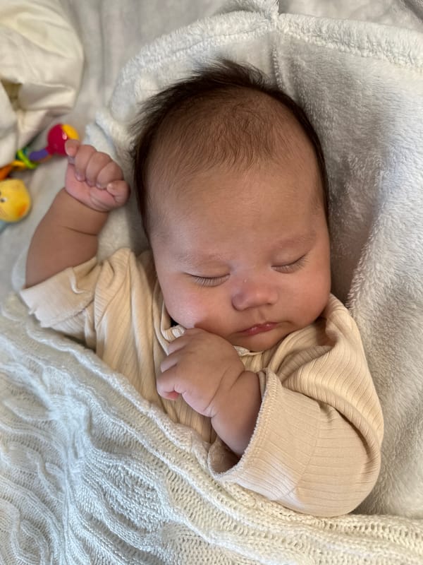 Infant documented sleeping and being held during brief afternoon period