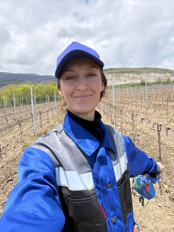 Woman visits Ukrainian vineyards, witnesses business transaction