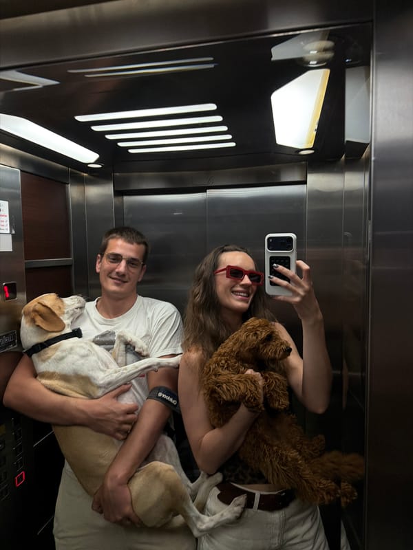 Couple takes elevator selfie with two dogs in Budva