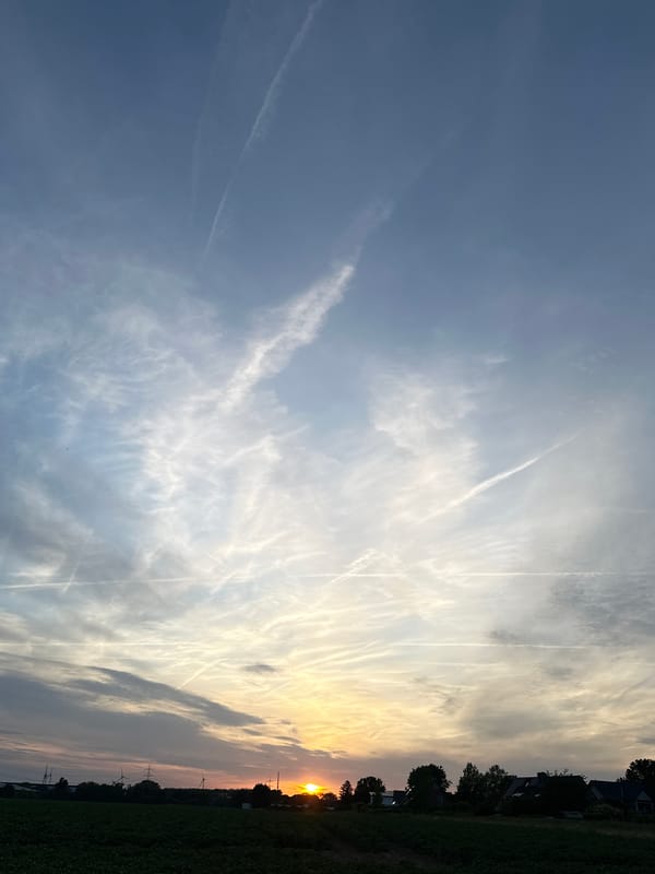 Wildflowers and wind turbines under a Krefeld summer sunset