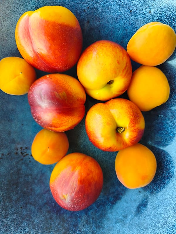 Quiet afternoon at home in Astana — pets, fruit, and small objects