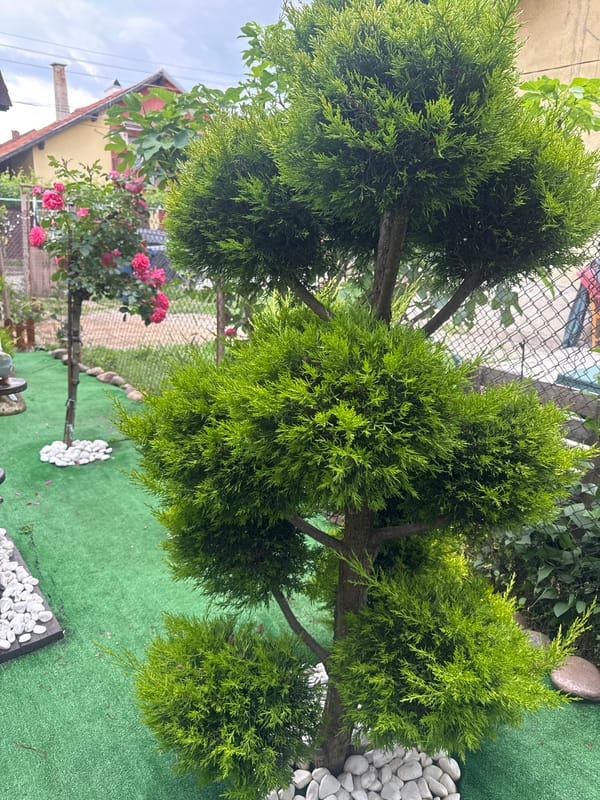 Elaborate garden showcase documented in Kostinbrod, Bulgaria residential area
