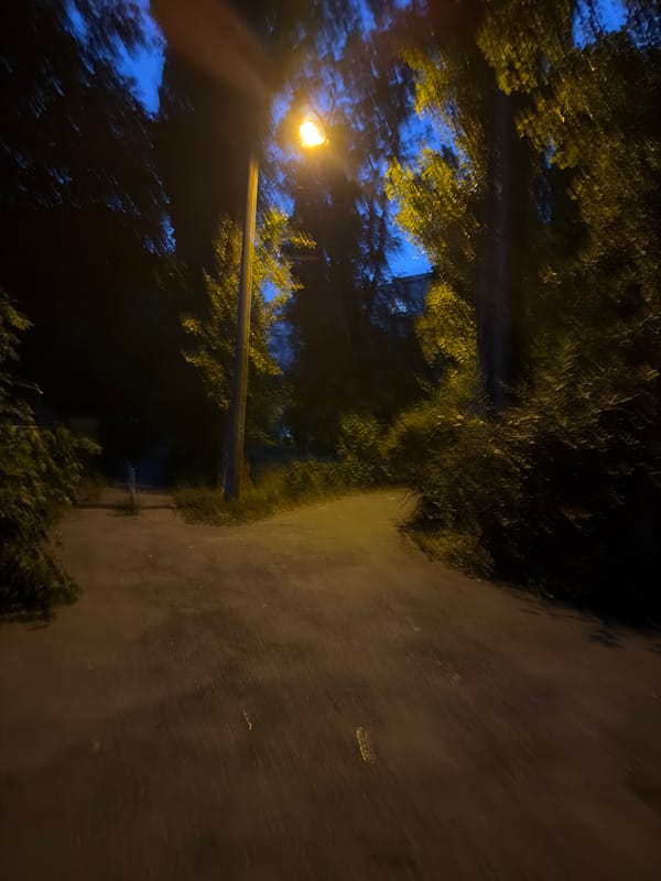 Evening stroll through Kyiv: garden flowers, streets, and greenery