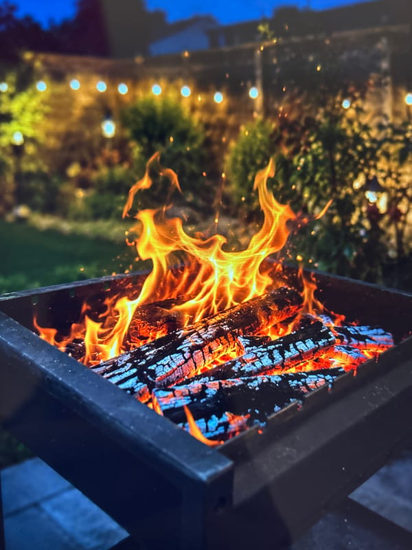 A scattered personal feed: fireworks, flowers, dogs, and city scenes