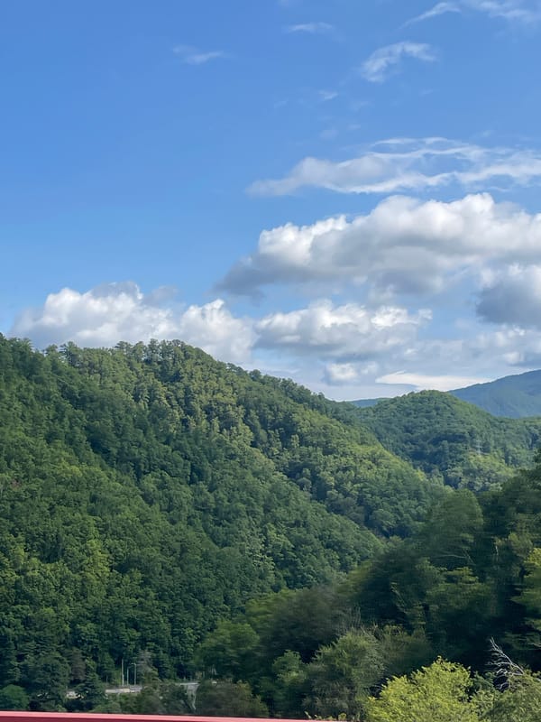 Lush forested mountains and highway infrastructure outside Sochi