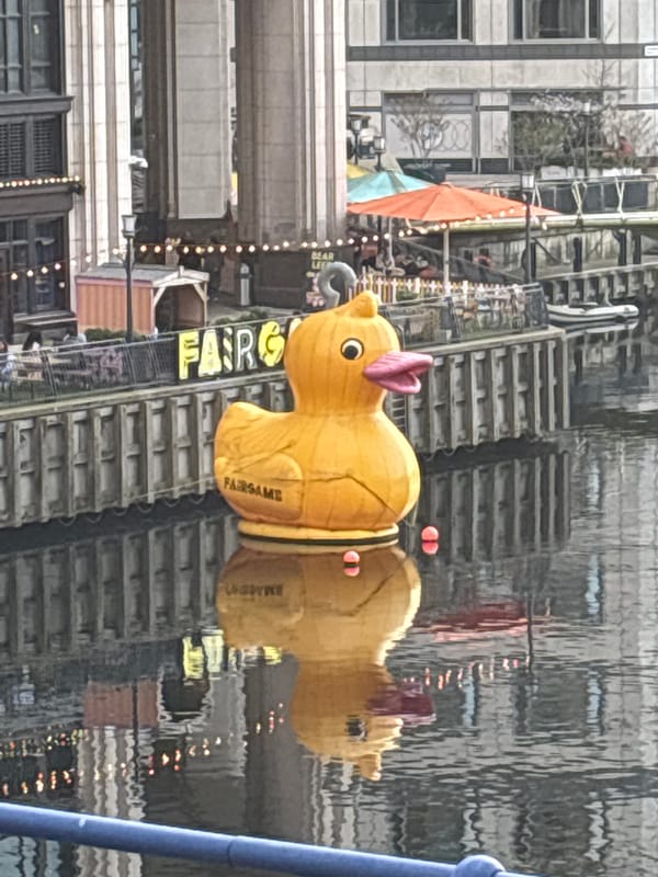 Giant rubber duck spotted floating in London docklands