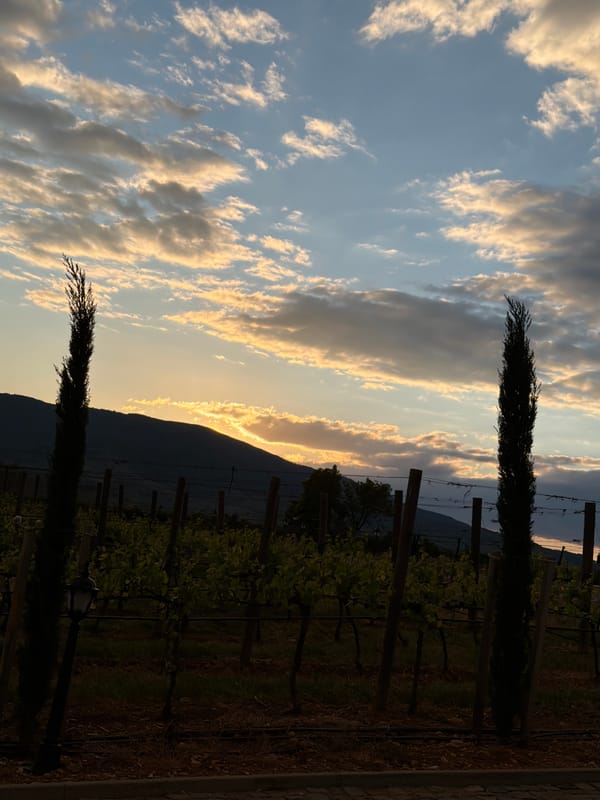Bulgarian vineyard estate visit captured with rainbow over mountains