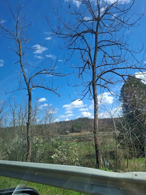 Vehicle travels past guardrail near Blagovo, Bulgaria