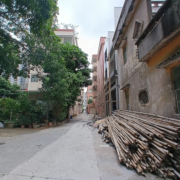 Morning life documented across Shunde District neighborhoods