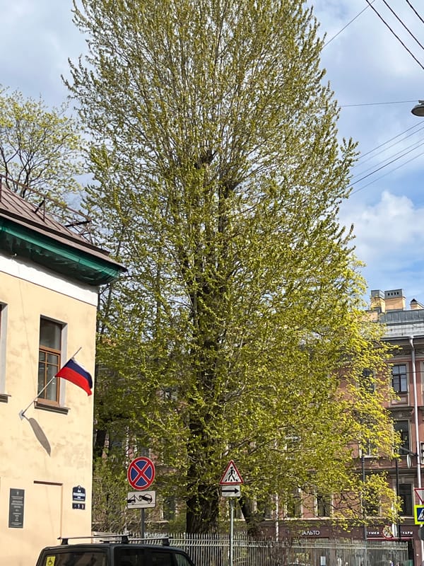 Spring morning walkabout captures Saint Petersburg's streets and architecture