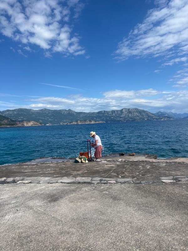 Person fishing in Dubraljevina, Montenegro